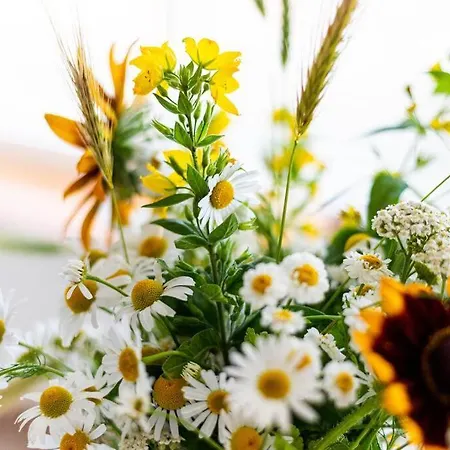 Appartement Dziewanowskiego By Downtown