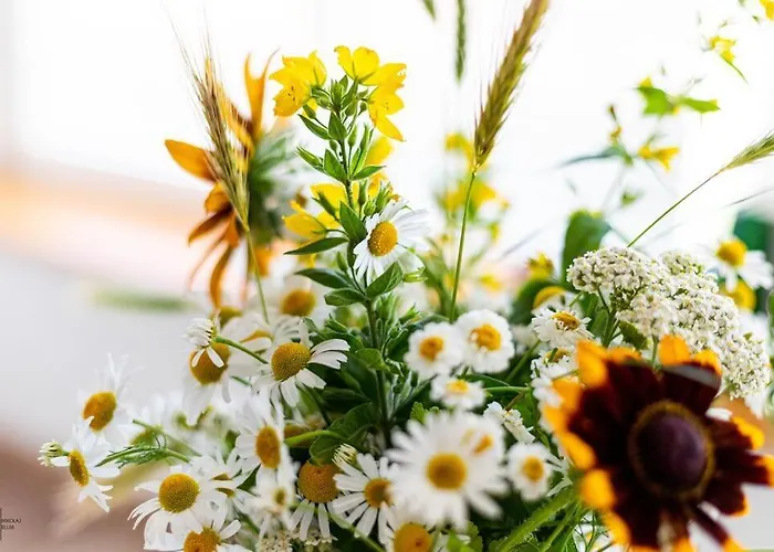 Apartmán Dziewanowskiego By Downtown